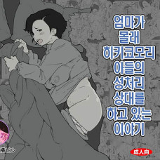 엄마가 몰래 히키코모리 아들의 성처리 상대를 하고 있는 이야기 / Okaa-San Ga Naisho De H